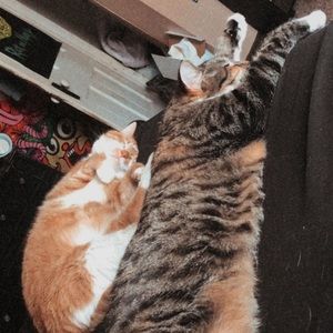 Meet your Posher, Logan